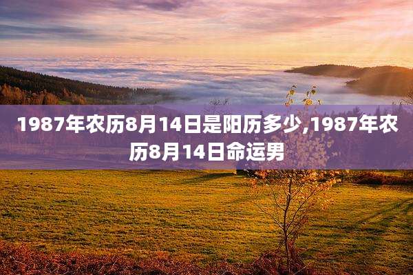 1987年农历8月14日是阳历多少,1987年农历8月14日命运男