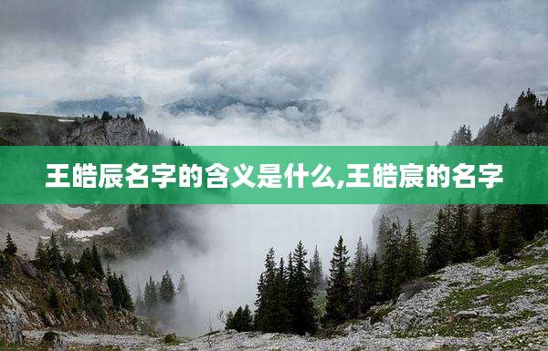 王皓辰名字的含义是什么,王皓宸的名字