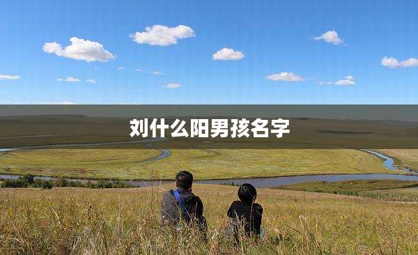 刘什么阳男孩名字