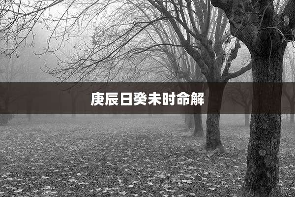 庚辰日癸未时命解