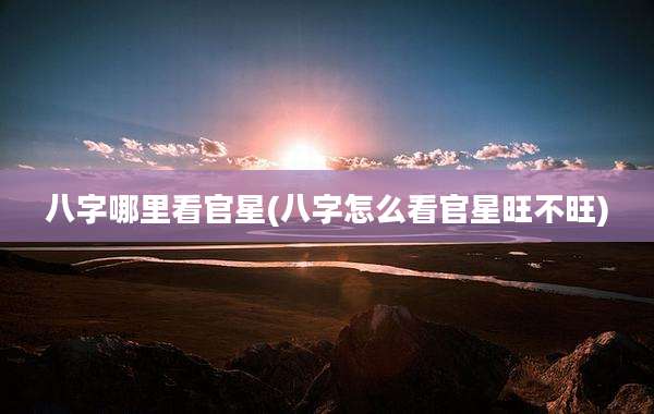 八字哪里看官星(八字怎么看官星旺不旺)
