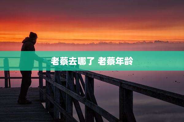 老蔡去哪了 老蔡年龄