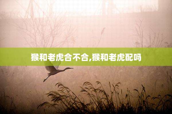 猴和老虎合不合,猴和老虎配吗
