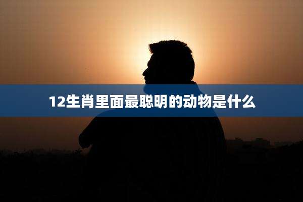 12生肖里面最聪明的动物是什么