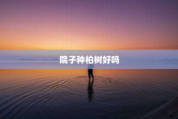 院子种柏树好吗