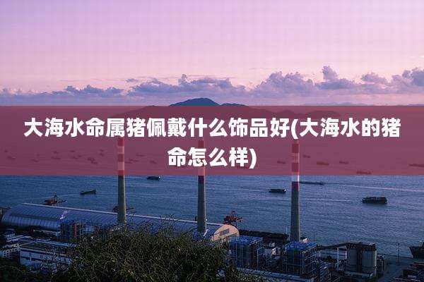 大海水命属猪佩戴什么饰品好(大海水的猪命怎么样)