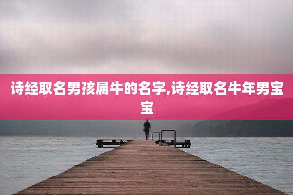 诗经取名男孩属牛的名字,诗经取名牛年男宝宝