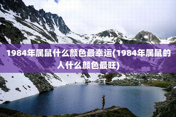 1984年属鼠什么颜色最幸运(1984年属鼠的人什么颜色最旺)