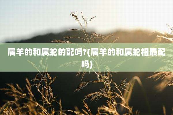 属羊的和属蛇的配吗?(属羊的和属蛇相最配吗)
