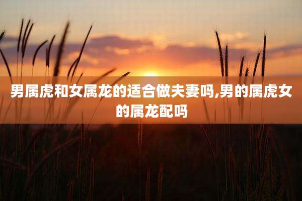 男属虎和女属龙的适合做夫妻吗,男的属虎女的属龙配吗