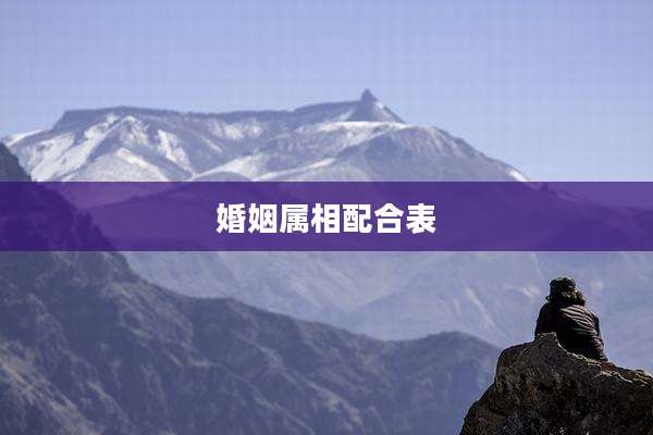 婚姻属相配合表