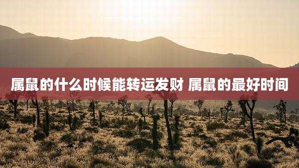 属鼠的什么时候能转运发财 属鼠的最好时间
