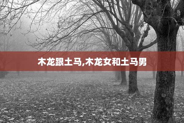 木龙跟土马,木龙女和土马男