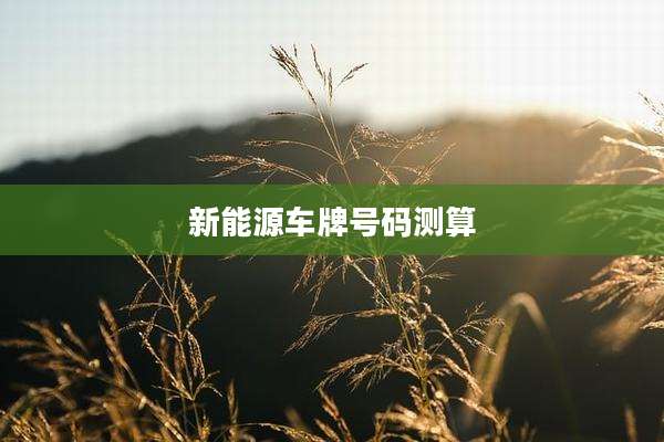 新能源车牌号码测算