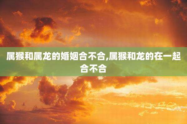 属猴和属龙的婚姻合不合,属猴和龙的在一起合不合