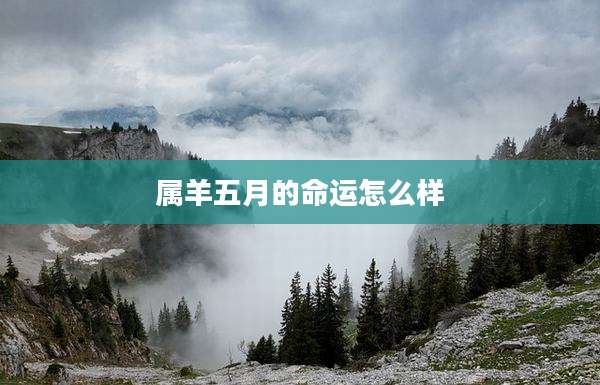 属羊五月的命运怎么样