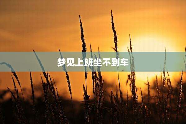 梦见上班坐不到车