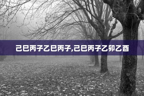 己巳丙子乙巳丙子,己巳丙子乙卯乙酉