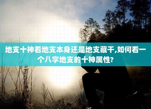 地支十神看地支本身还是地支藏干,如何看一个八字地支的十神属性?