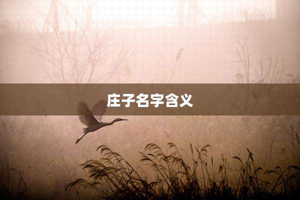 庄子名字含义