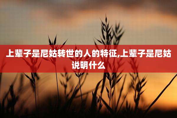 上辈子是尼姑转世的人的特征,上辈子是尼姑说明什么