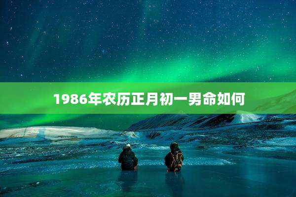 1986年农历正月初一男命如何
