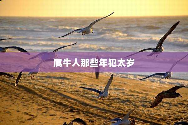 属牛人那些年犯太岁