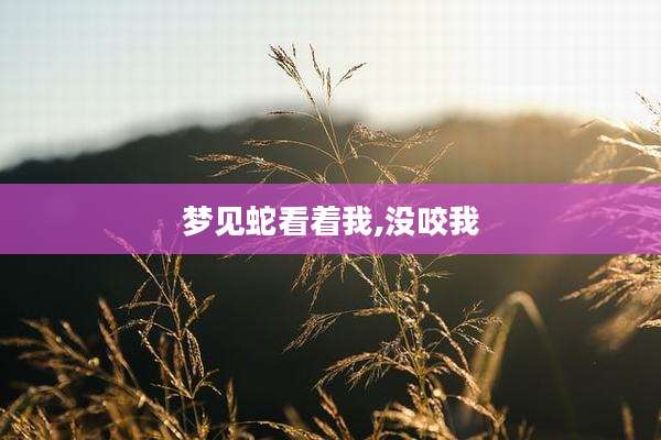 梦见蛇看着我,没咬我