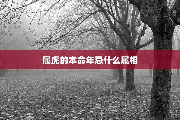 属虎的本命年忌什么属相