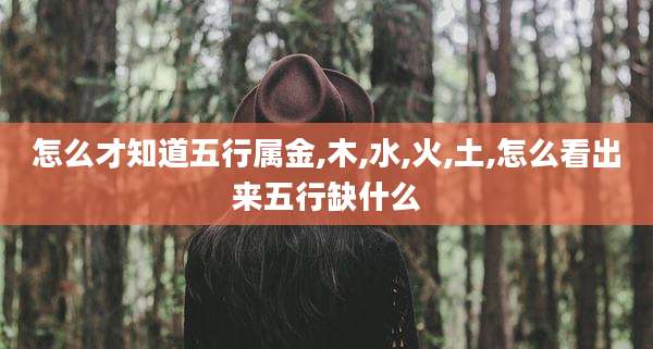 怎么才知道五行属金,木,水,火,土,怎么看出来五行缺什么