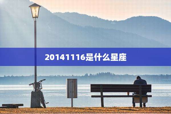 20141116是什么星座