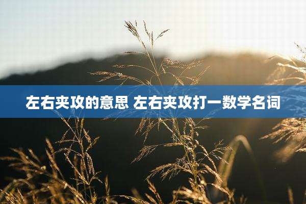 左右夹攻的意思 左右夹攻打一数学名词