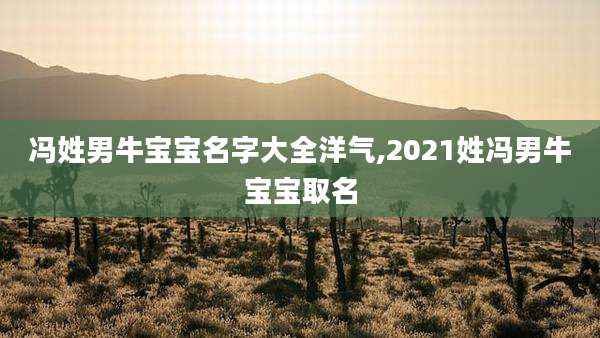 冯姓男牛宝宝名字大全洋气,2021姓冯男牛宝宝取名