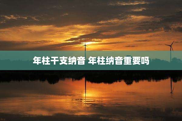 年柱干支纳音 年柱纳音重要吗