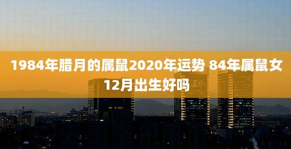 1984年腊月的属鼠2020年运势 84年属鼠女12月出生好吗