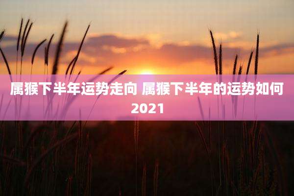 属猴下半年运势走向 属猴下半年的运势如何2021