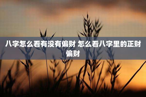 八字怎么看有没有偏财 怎么看八字里的正财偏财