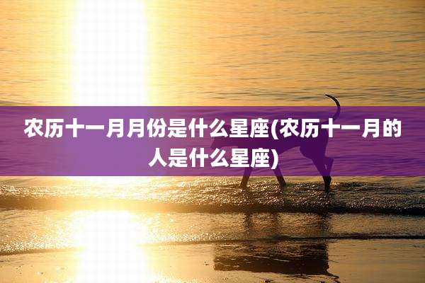 农历十一月月份是什么星座(农历十一月的人是什么星座)