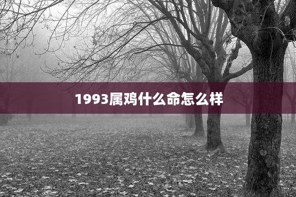 1993属鸡什么命怎么样