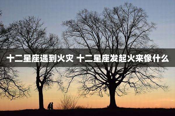 十二星座遇到火灾 十二星座发起火来像什么