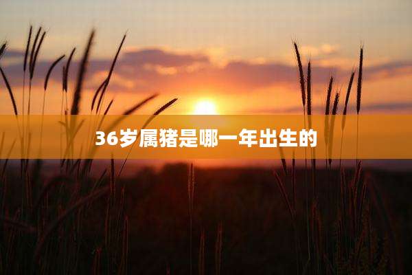36岁属猪是哪一年出生的