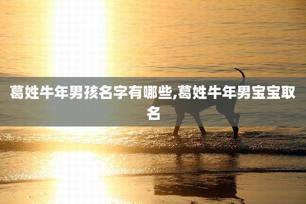 葛姓牛年男孩名字有哪些,葛姓牛年男宝宝取名