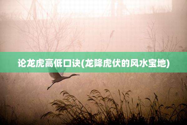 论龙虎高低口诀(龙降虎伏的风水宝地)