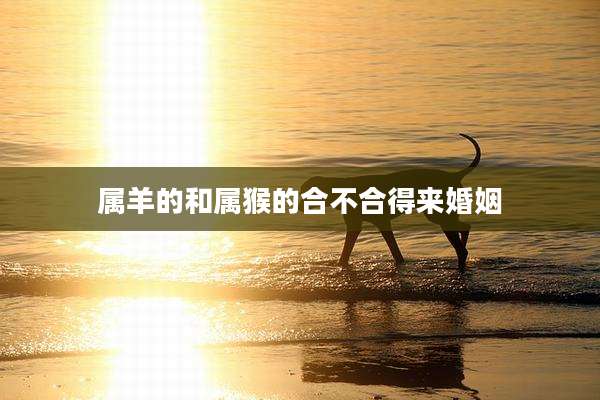 属羊的和属猴的合不合得来婚姻