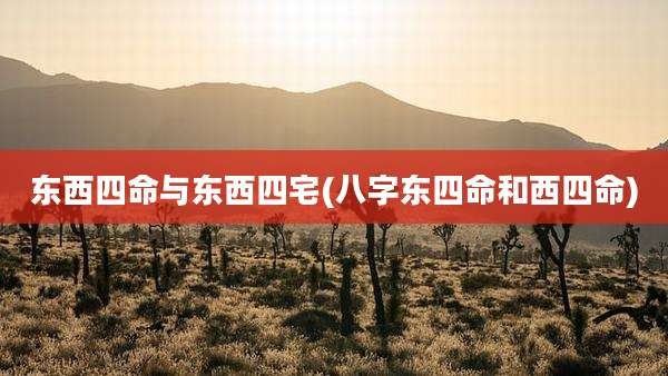 东西四命与东西四宅(八字东四命和西四命)