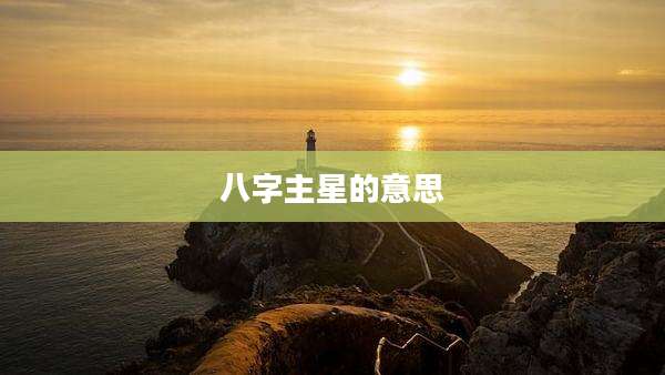 八字主星的意思