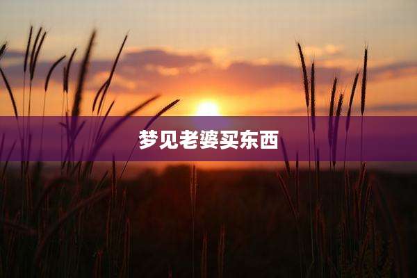 梦见老婆买东西