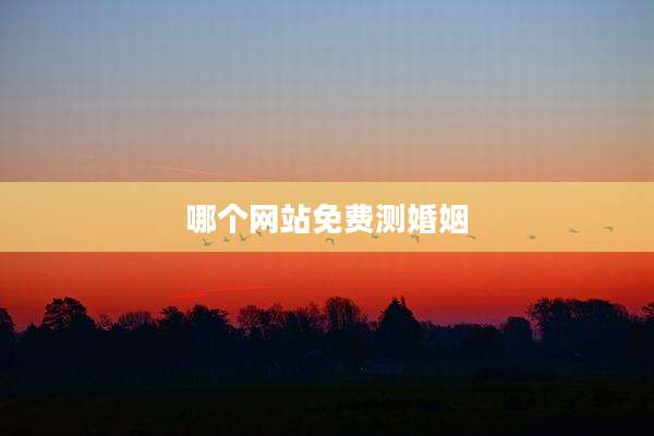 哪个网站免费测婚姻