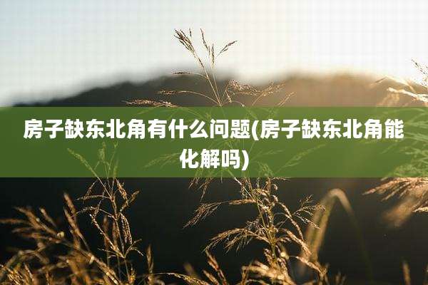 房子缺东北角有什么问题(房子缺东北角能化解吗)
