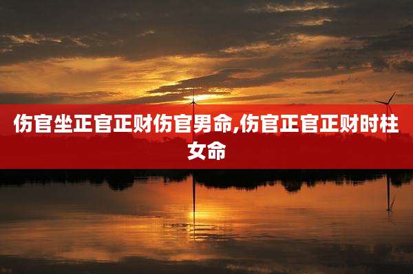 伤官坐正官正财伤官男命,伤官正官正财时柱女命